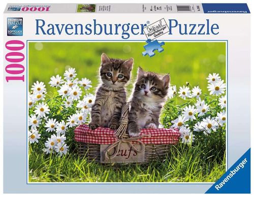 Ravensburger Puzzle 194803 Picknick auf der Wiese 1000 Teile